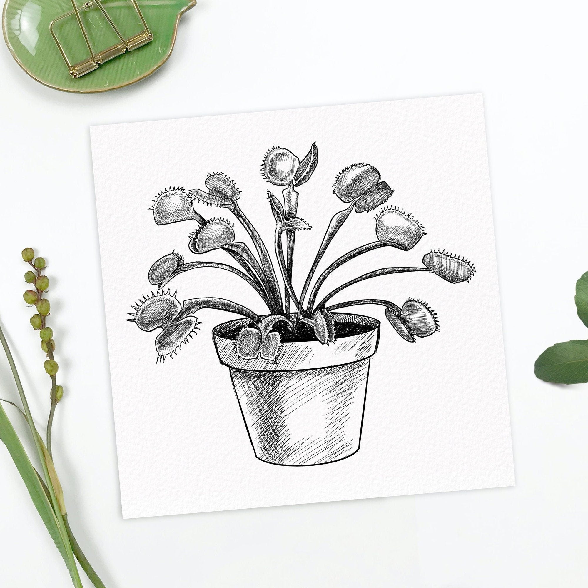 Venus Flytrap Art Print